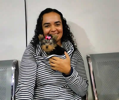 Entrega Shih Tzu Miniatura