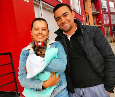 Entrega Shih Tzu Teacup