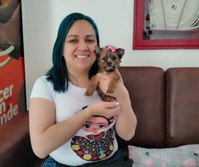 Entrega Shih Tzu Miniatura